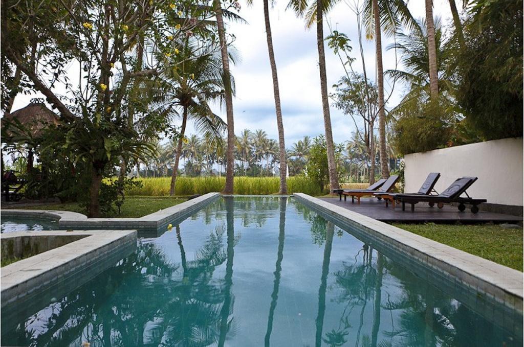 Chai House Ubud Rum bild